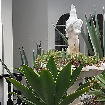Apartmán Loft 105
