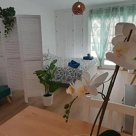 Loft 105 * Corralejo