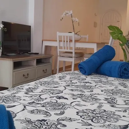 Apartment Loft 105
